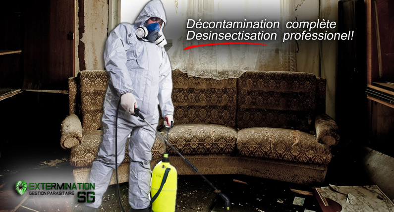 Décontamination de Chauves-Souris