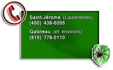 saint-Jérome, GAtineau, laurentides et outaouais